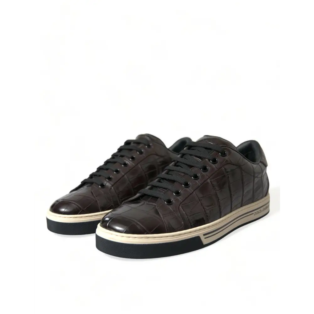Dolce & Gabbana Braun Kroko Exotische Leder Männer Casual Turnschuhe Schuhe - EU39/US6