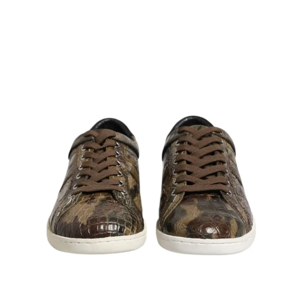 Dolce & Gabbana Braune Exotische Leder Low Top Sneakers Schuhe - EU40/US7