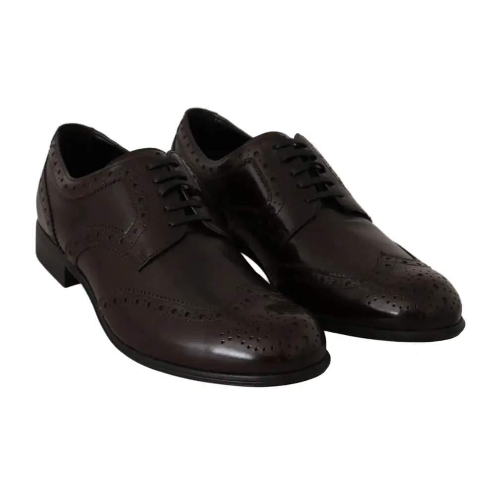 Dolce & Gabbana Braune Leder Broques Oxford Wingtip Schuhe