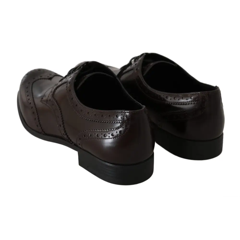 Dolce & Gabbana Braune Leder Broques Oxford Wingtip Schuhe