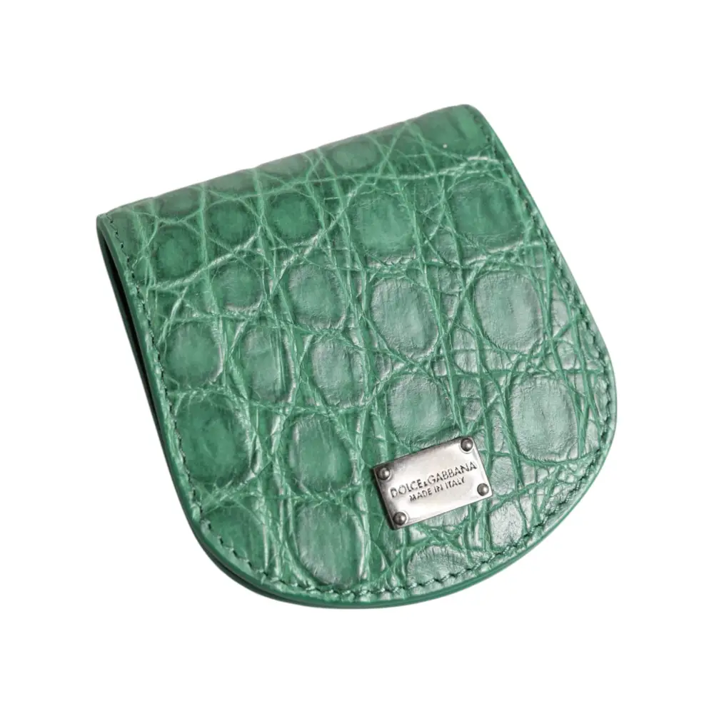 Dolce & Gabbana Grüne exotische Haut Münze Kondom Fall Halter Tasche Brieftasche
