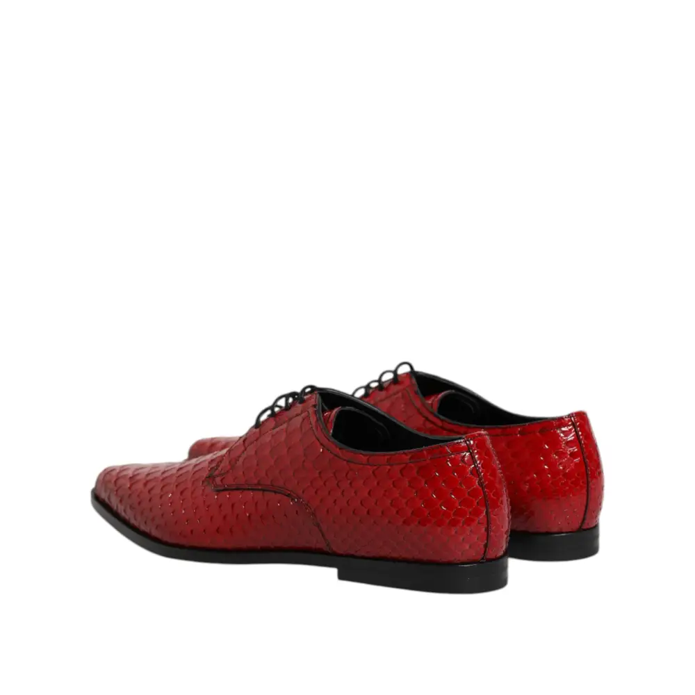 Dolce & Gabbana Rote Exotische Leder Schnürschuhe Dress Derby Schuhe
