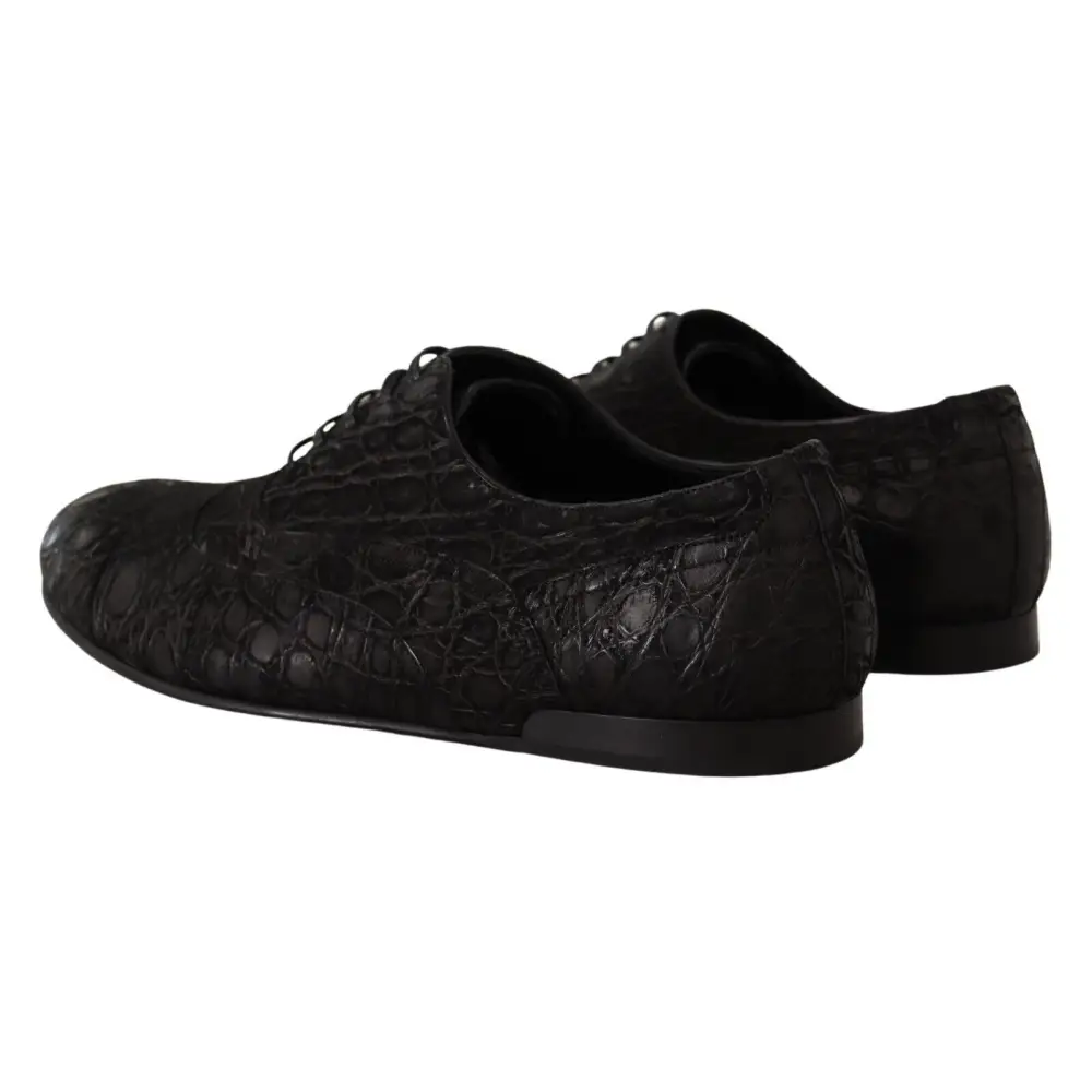 Dolce & Gabbana Schwarzes Kaimanleder Herren Oxford Schuhe - EU44/US11