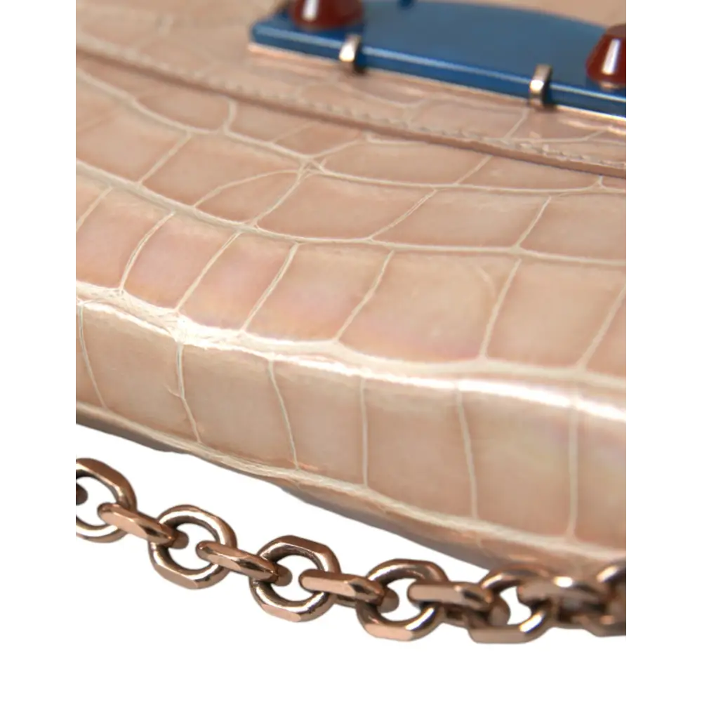 Balenciaga Beige Blauer Achat Exotisches Leder Gold Kette Geldbörse Tasche