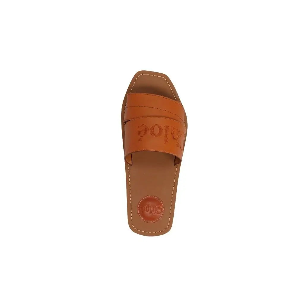 Chloé Braune Sandalen aus Kalbsleder - EU36/US6