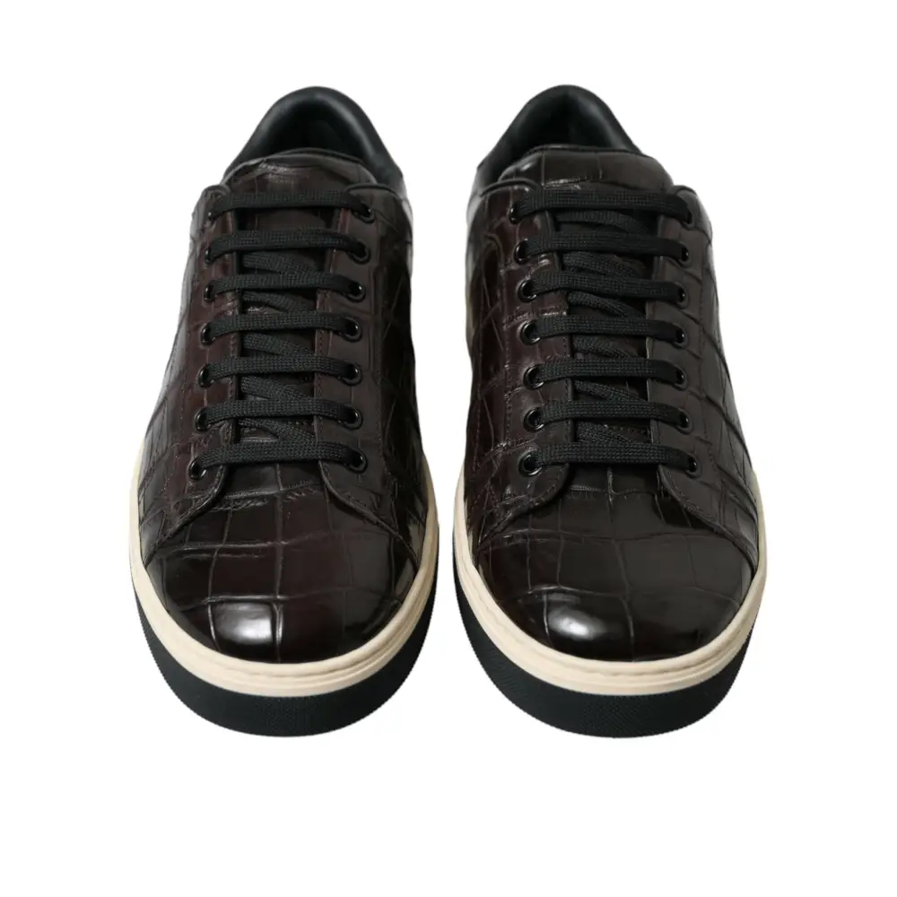 Dolce & Gabbana Braun Kroko Exotische Leder Männer Casual Turnschuhe Schuhe - EU39/US6