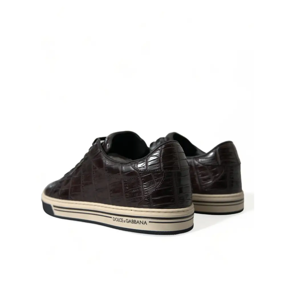 Dolce & Gabbana Braun Kroko Exotische Leder Männer Casual Turnschuhe Schuhe - EU39/US6