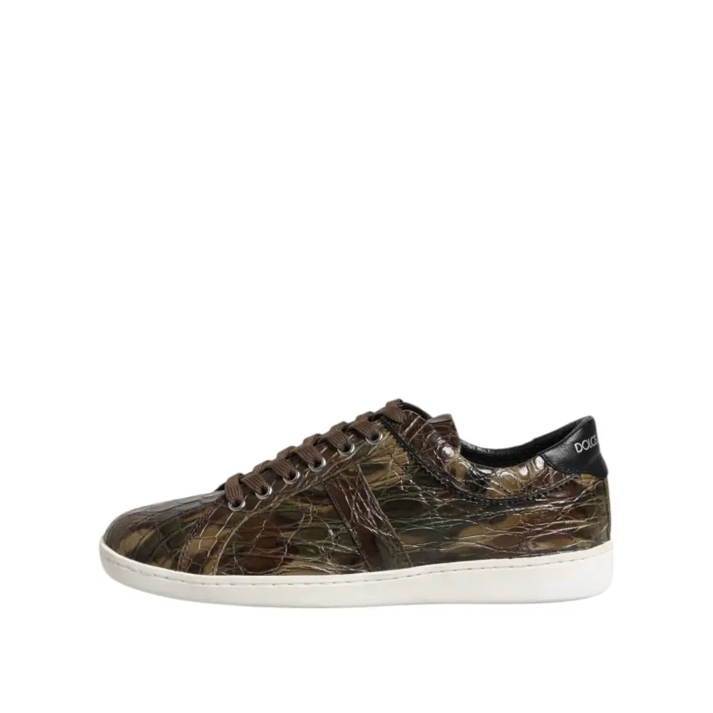 Dolce & Gabbana Braune Exotische Leder Low Top Sneakers Schuhe - EU40/US7