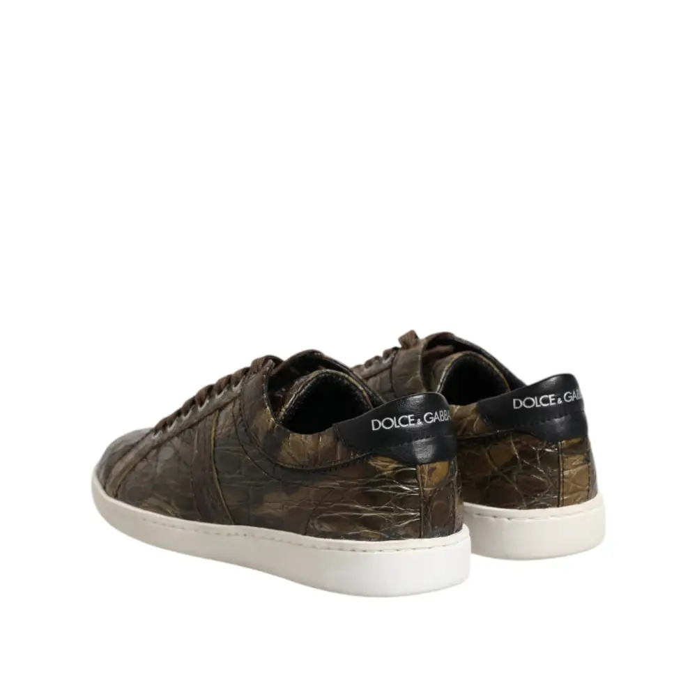 Dolce & Gabbana Braune Exotische Leder Low Top Sneakers Schuhe - EU40/US7