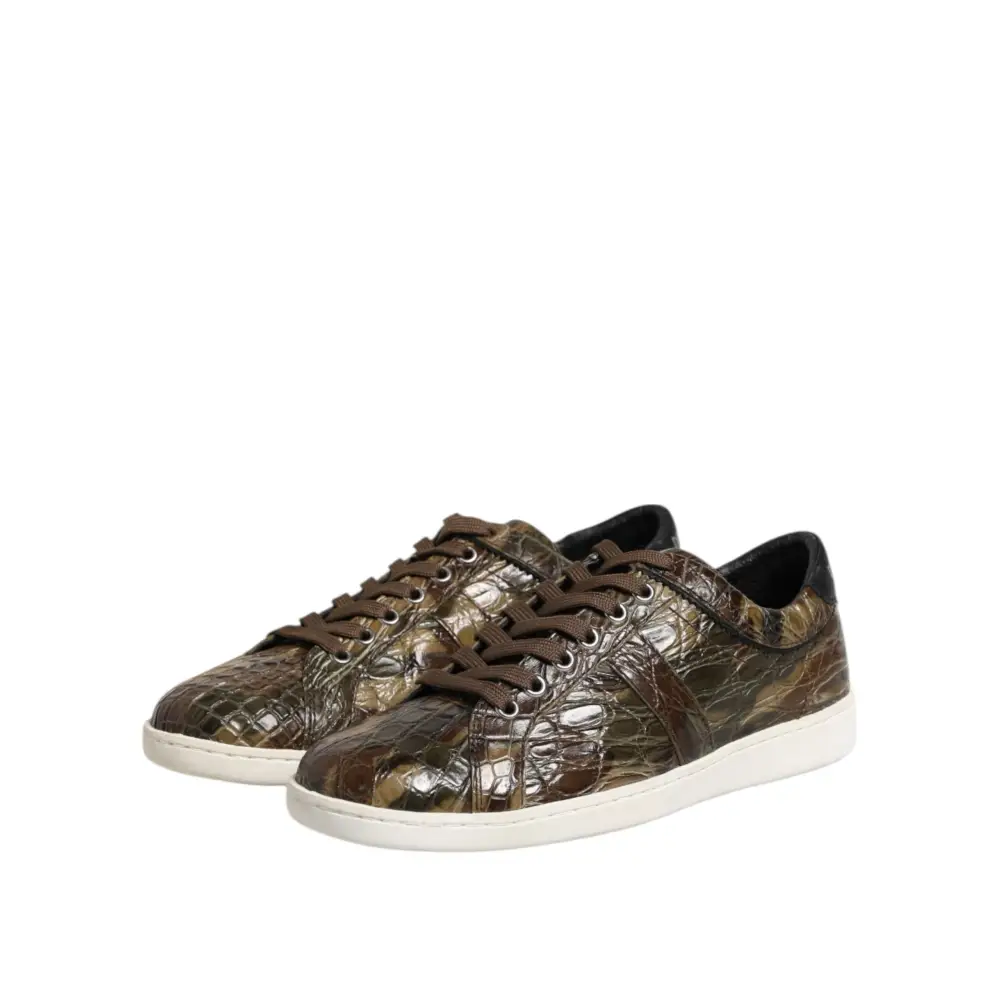 Dolce & Gabbana Braune Exotische Leder Low Top Sneakers Schuhe - EU40/US7