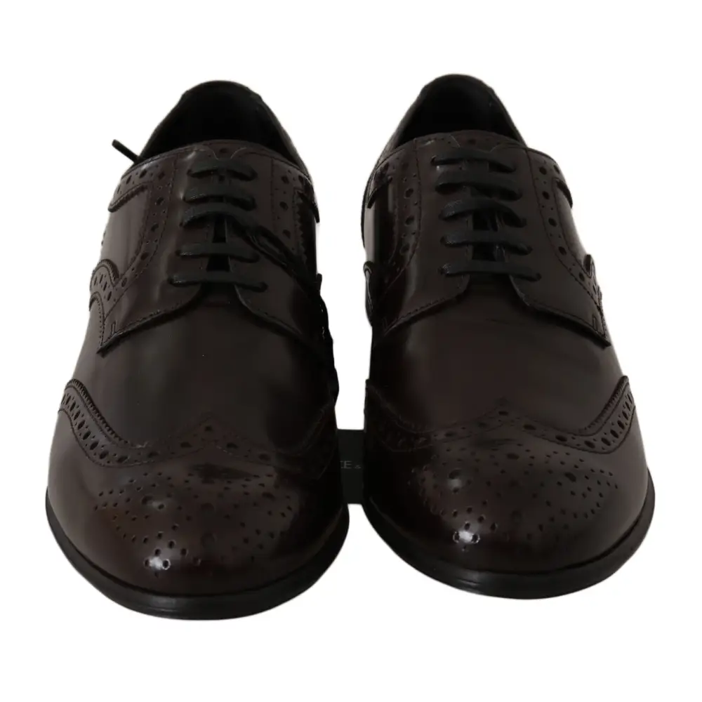 Dolce & Gabbana Braune Leder Broques Oxford Wingtip Schuhe