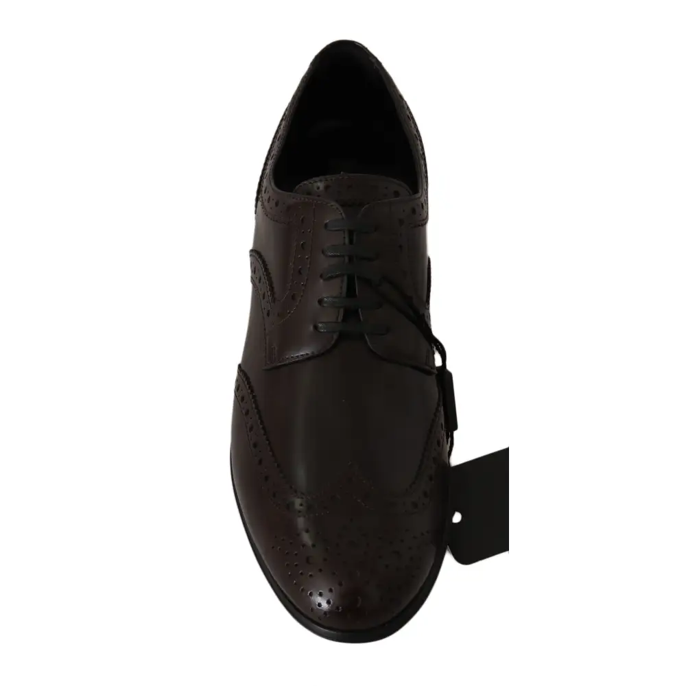 Dolce & Gabbana Braune Leder Broques Oxford Wingtip Schuhe