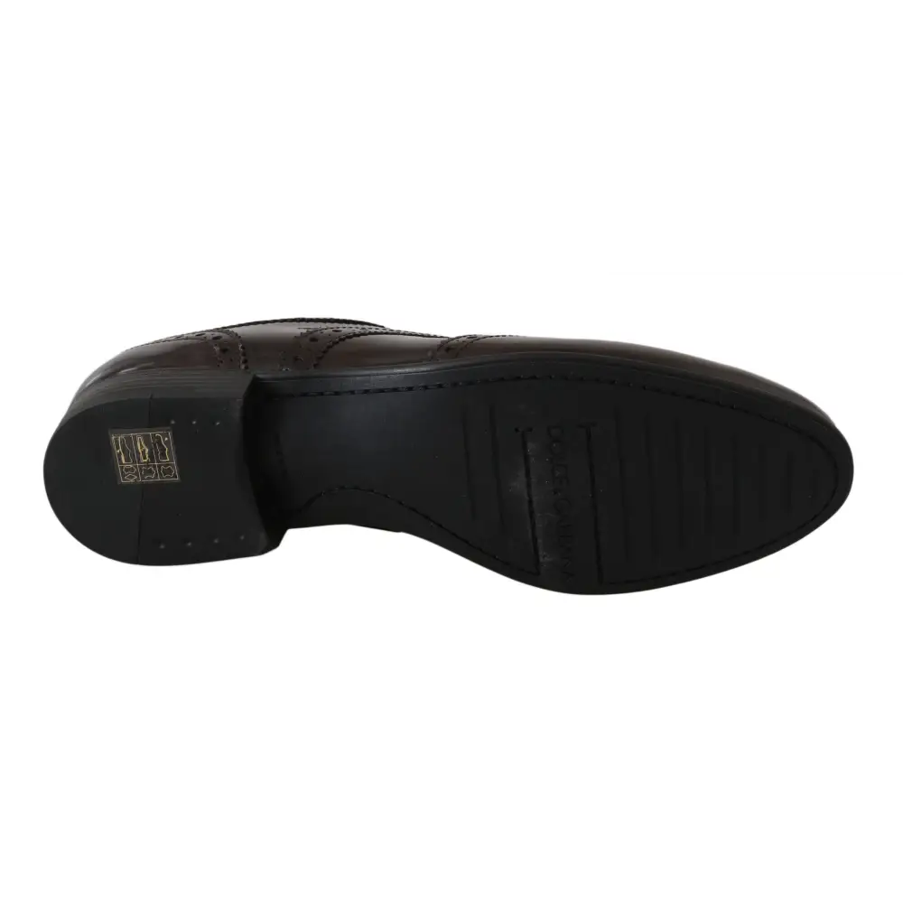 Dolce & Gabbana Braune Leder Broques Oxford Wingtip Schuhe