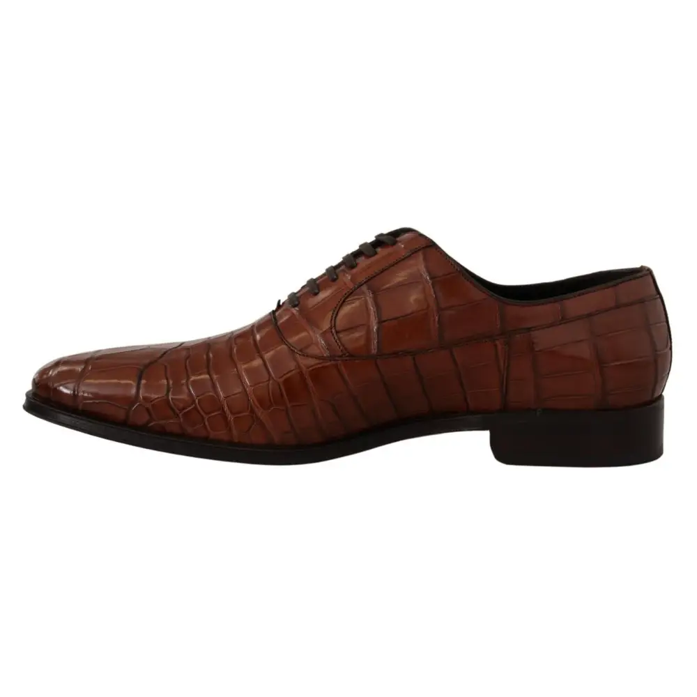 Dolce & Gabbana Braunes Krokodilleder Herren Derby Schuhe - EU44/US11