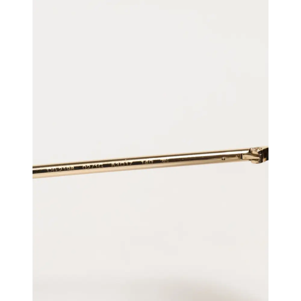 Dolce & Gabbana DG2198 Braune Leopard Print Gradient Runde Sonnenbrille