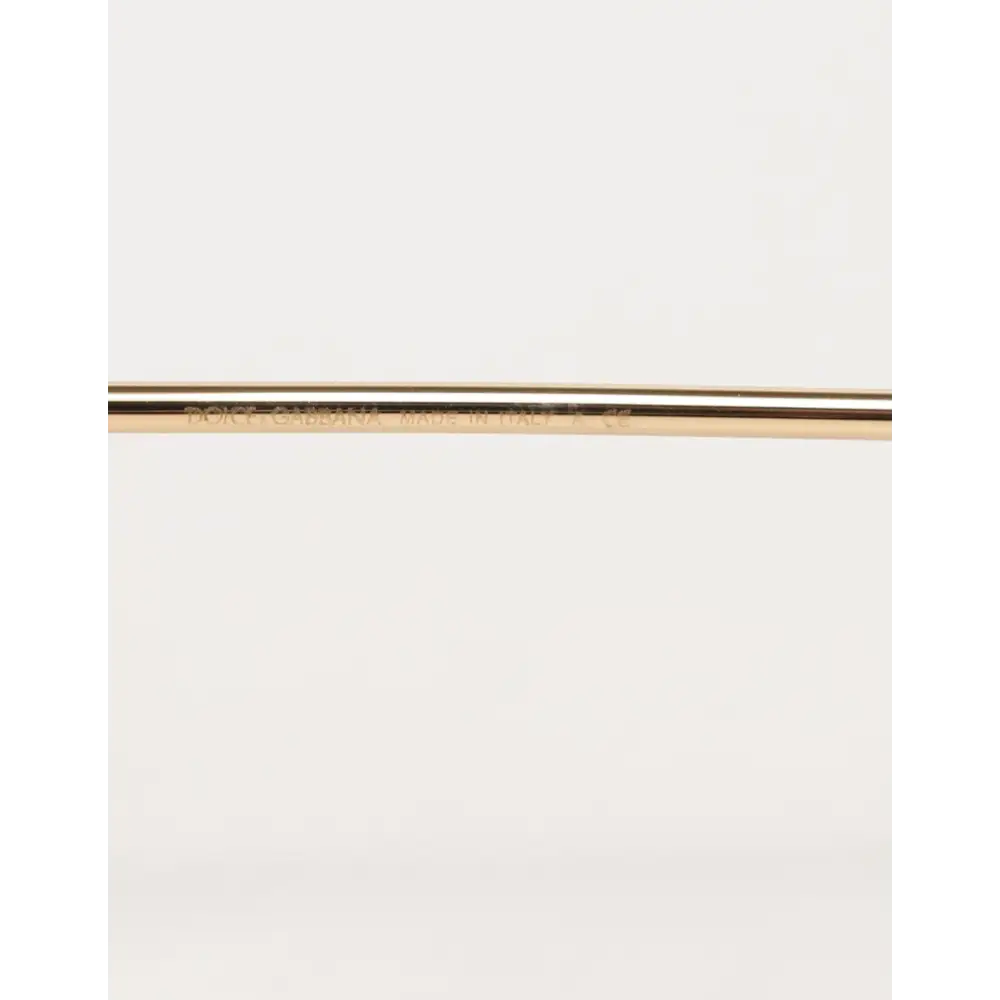 Dolce & Gabbana DG2198 Braune Leopard Print Gradient Runde Sonnenbrille